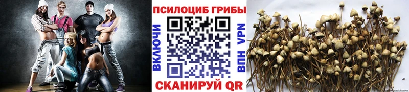 Псилоцибиновые грибы ЛСД  Купить закладки  Майский 